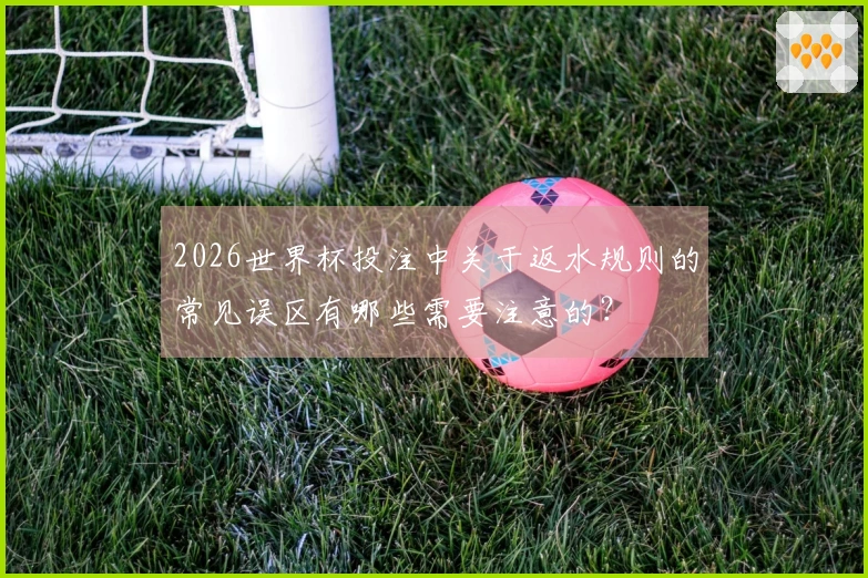 2026世界杯投注中关于返水规则的常见误区有哪些需要注意的?