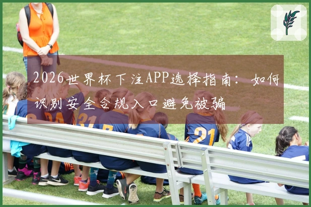 2026世界杯下注APP选择指南：如何识别安全合规入口避免被骗