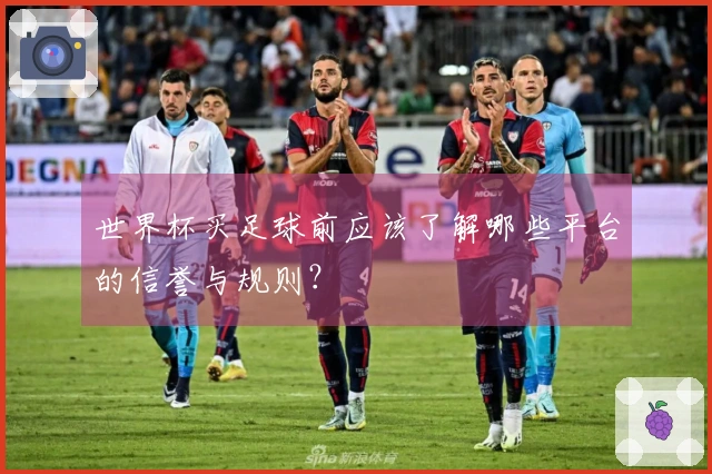 世界杯买足球前应该了解哪些平台的信誉与规则？