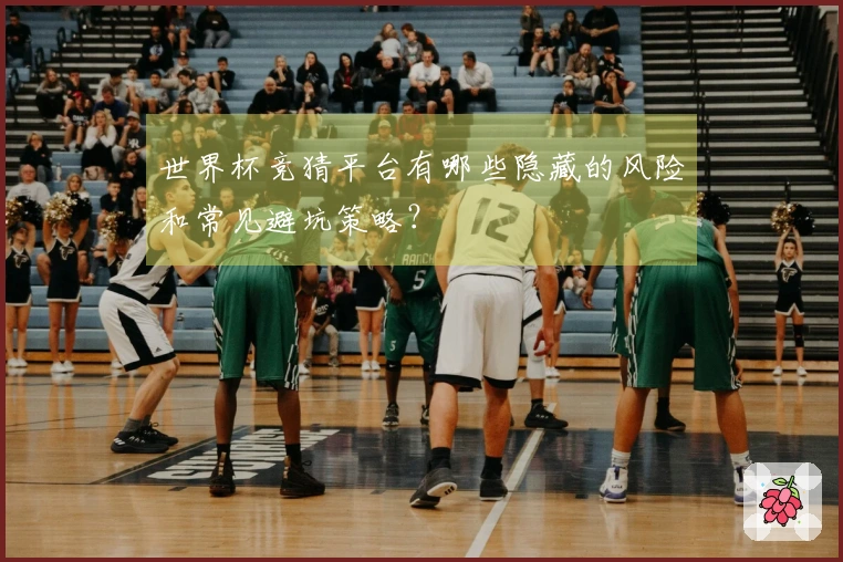 世界杯竞猜平台有哪些隐藏的风险和常见避坑策略?