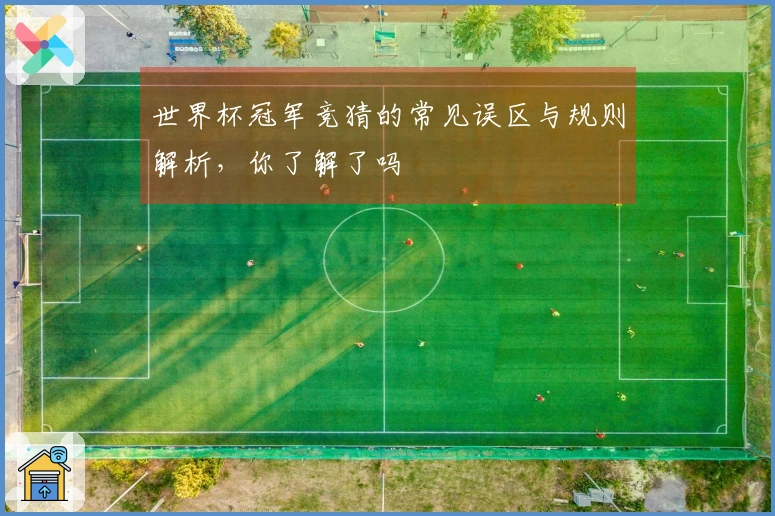 世界杯冠军竞猜的常见误区与规则解析，你了解了吗