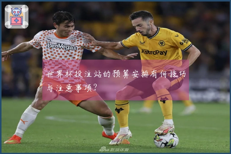世界杯投注站的预算安排有何技巧与注意事项？