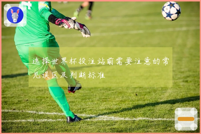 选择世界杯投注站前需要注意的常见误区及判断标准