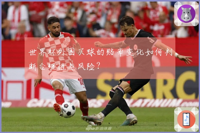 世界杯外围买球的赔率变化如何判断合理性与风险?