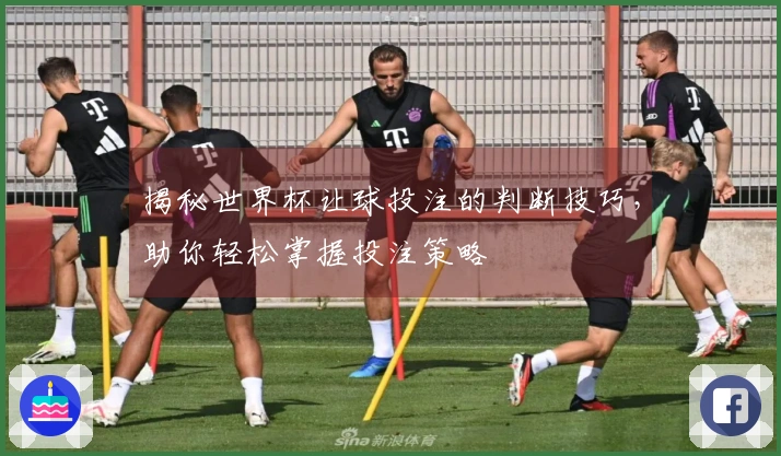 揭秘世界杯让球投注的判断技巧，助你轻松掌握投注策略