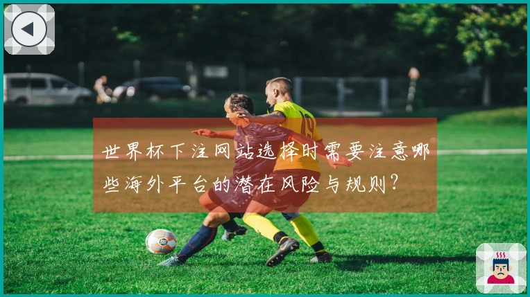 世界杯下注网站选择时需要注意哪些海外平台的潜在风险与规则？