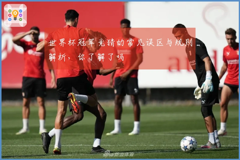 世界杯冠军竞猜的常见误区与规则解析，你了解了吗