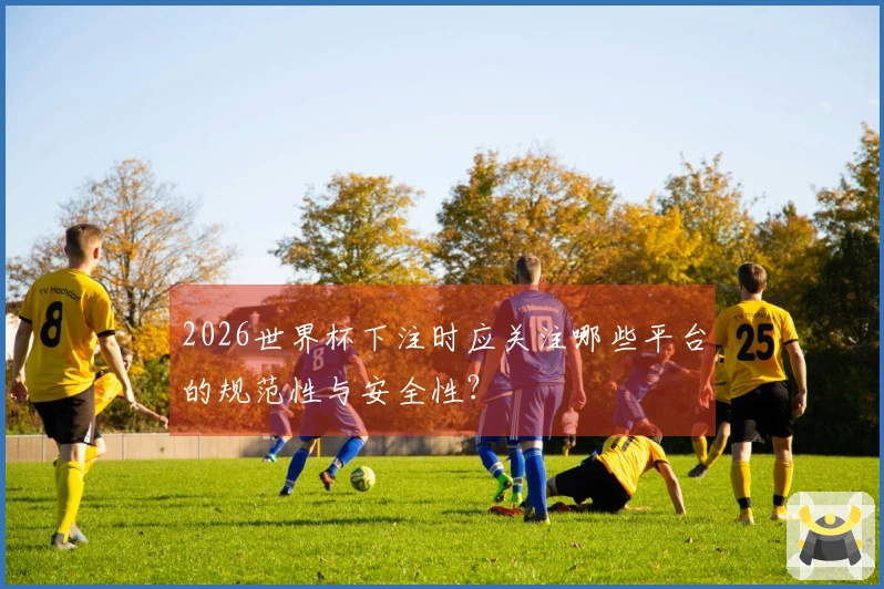 2026世界杯下注时应关注哪些平台的规范性与安全性？