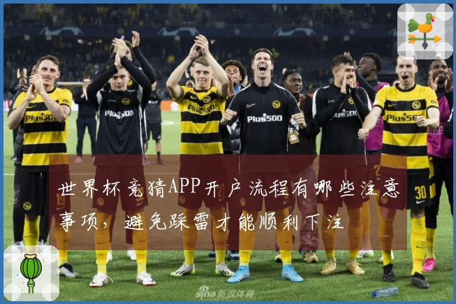 世界杯竞猜APP开户流程有哪些注意事项，避免踩雷才能顺利下注