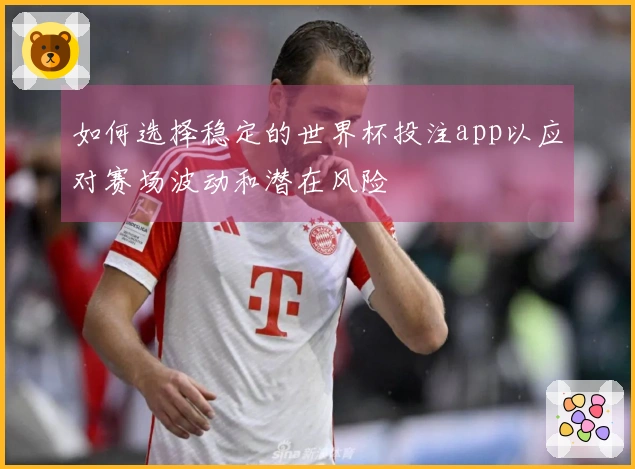 如何选择稳定的世界杯投注app以应对赛场波动和潜在风险