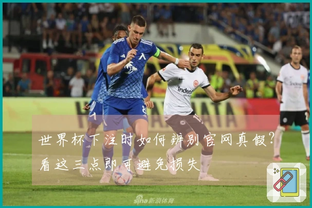 世界杯下注时如何辨别官网真假？看这三点即可避免损失
