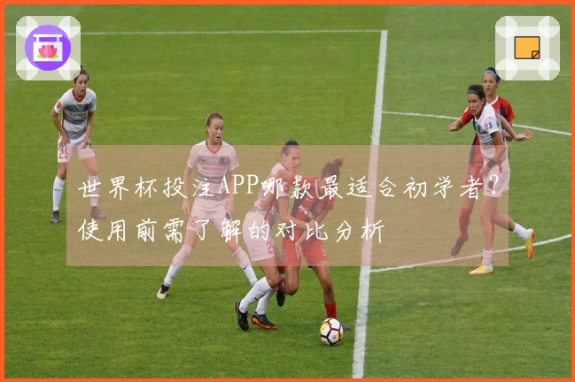 世界杯投注APP哪款最适合初学者？使用前需了解的对比分析