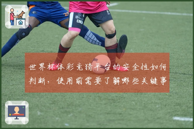 世界杯体彩竞猜平台的安全性如何判断，使用前需要了解哪些关键事项