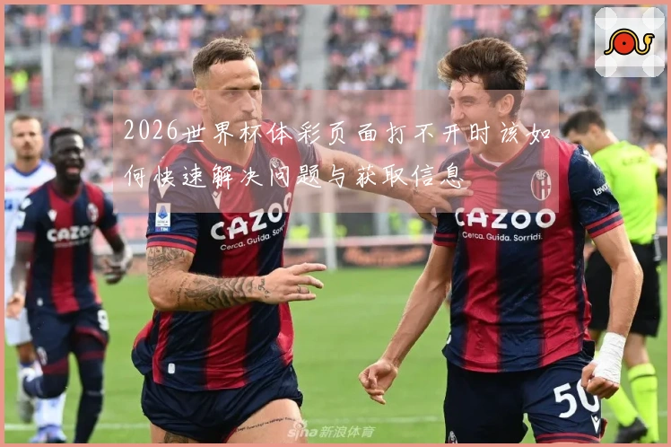 2026世界杯体彩页面打不开时该如何快速解决问题与获取信息