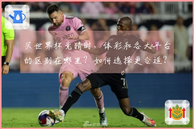 买世界杯竞猜时，体彩和各大平台的区别在哪里？如何选择更合适？