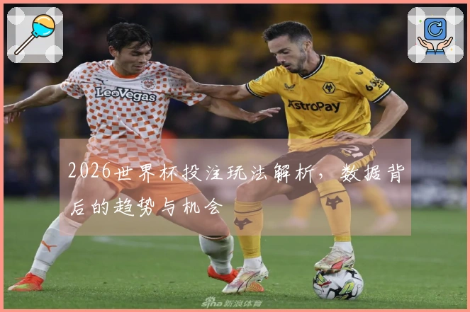 2026世界杯投注玩法解析，数据背后的趋势与机会