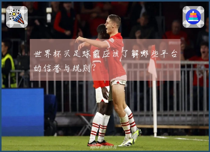 世界杯买足球前应该了解哪些平台的信誉与规则？