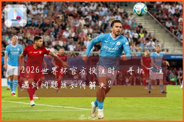 2026世界杯官方投注时，手机下注遇到问题该如何解决？