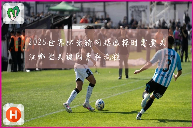 2026世界杯竞猜网站选择时需要关注哪些关键因素和流程