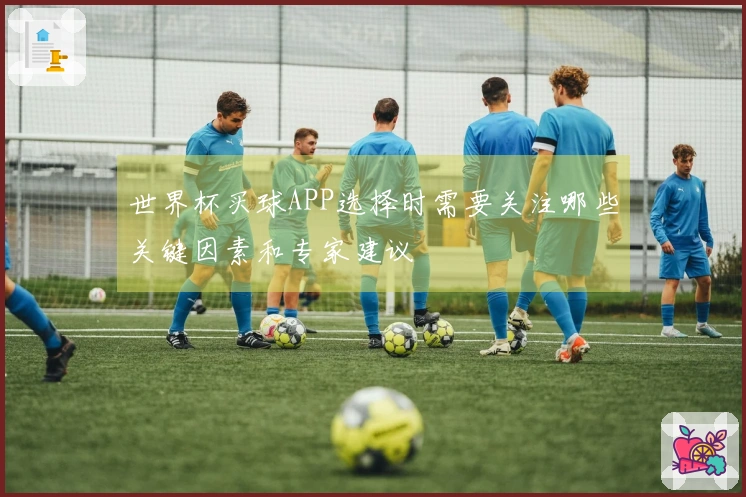 世界杯买球APP选择时需要关注哪些关键因素和专家建议