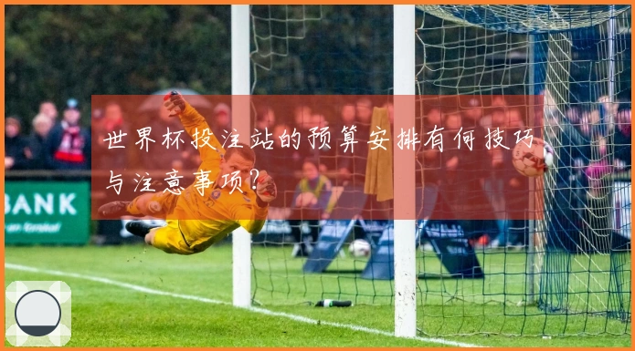世界杯投注站的预算安排有何技巧与注意事项？